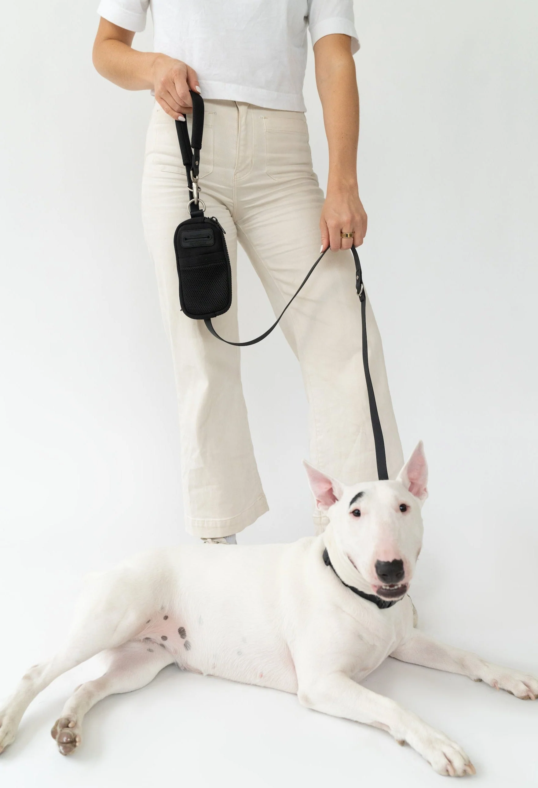 Walk Bag + Dog Leash - Image 2