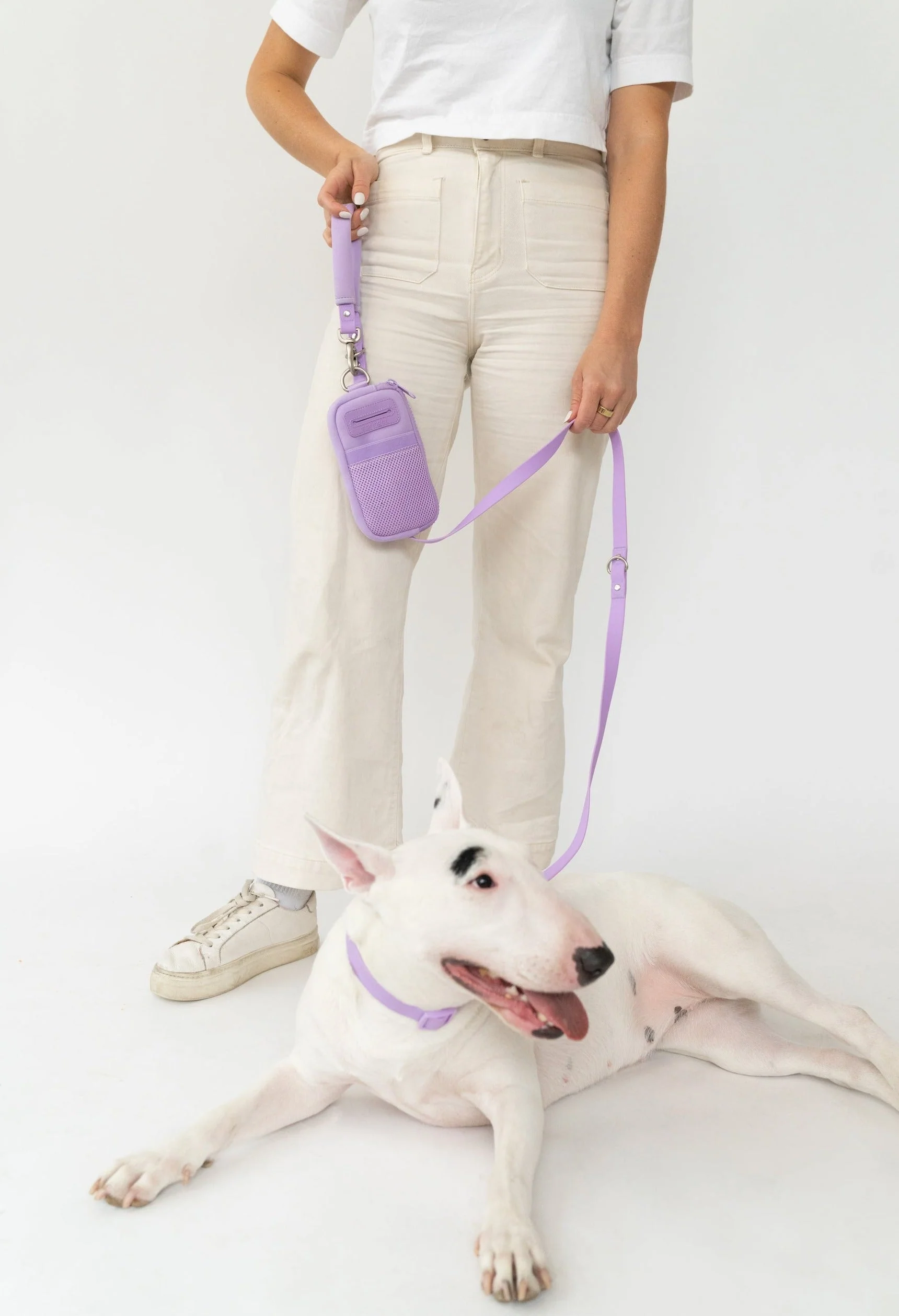 Walk Bag + Dog Leash - Image 9