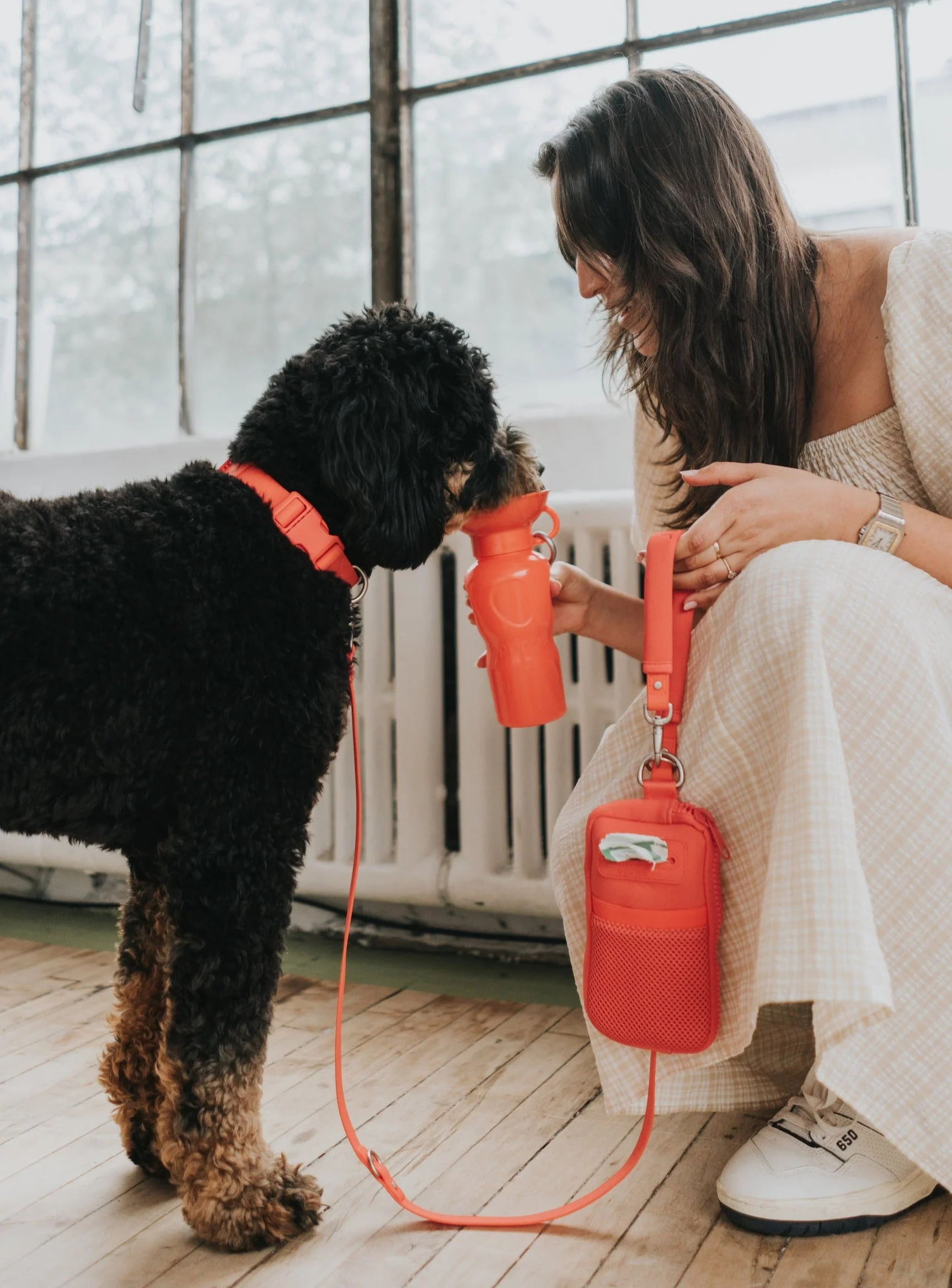 Walk Bag + Small Dog Leash - Image 11