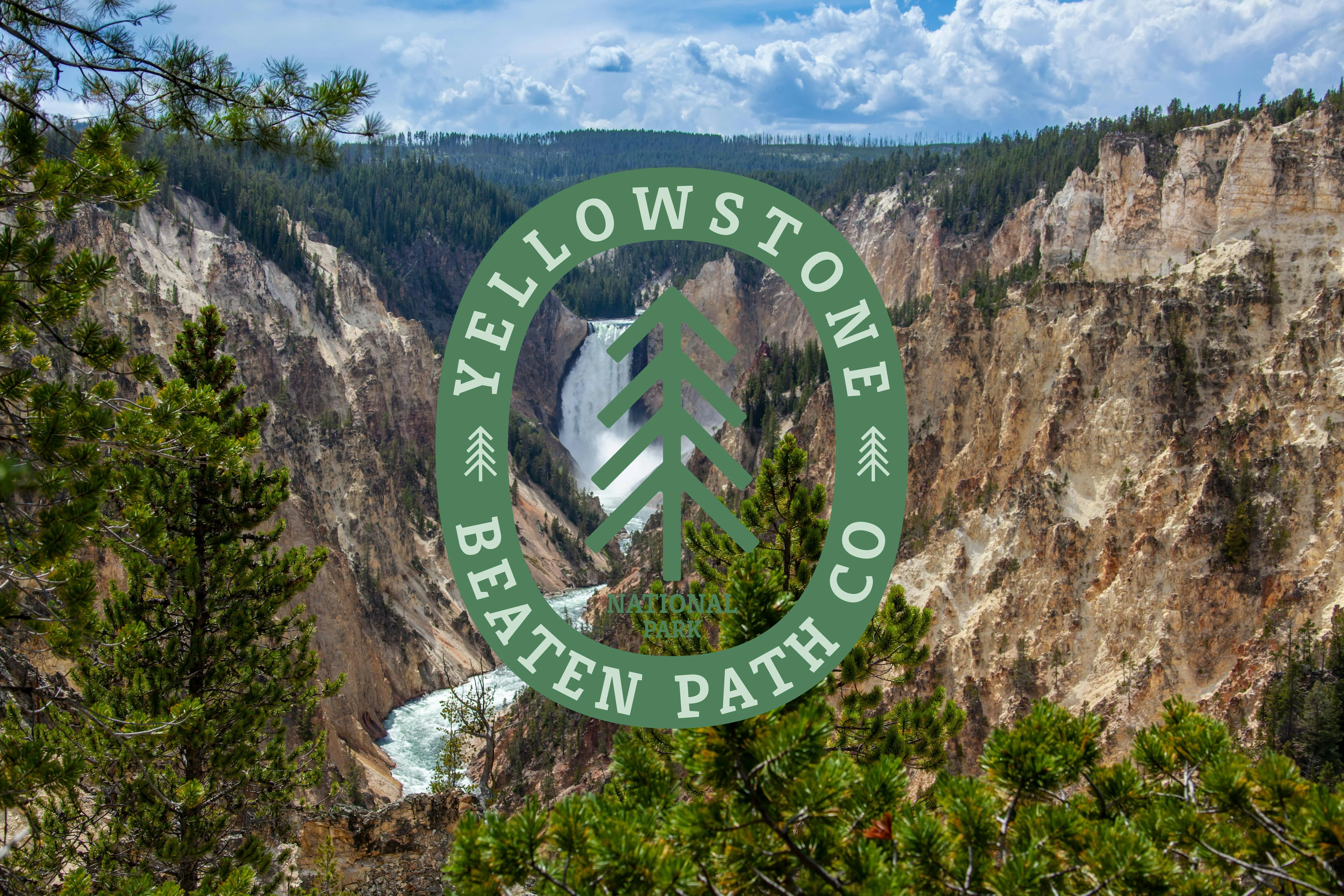 YELLOWSTONE TEE - Image 6